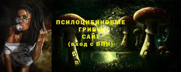 мяу мяу мука Баксан