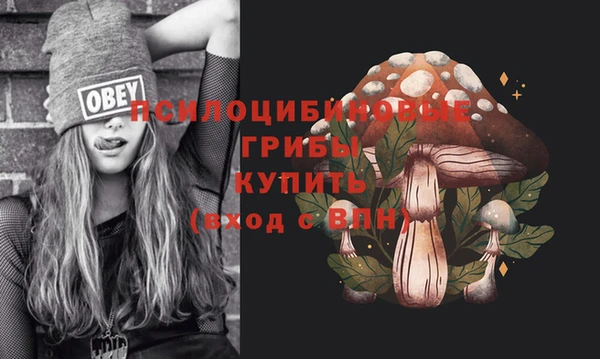 мяу мяу мука Баксан