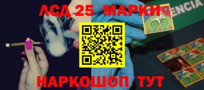 мдпв Кандалакша
