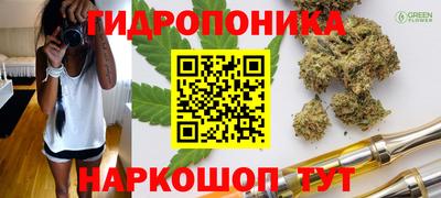 герыч Камышлов
