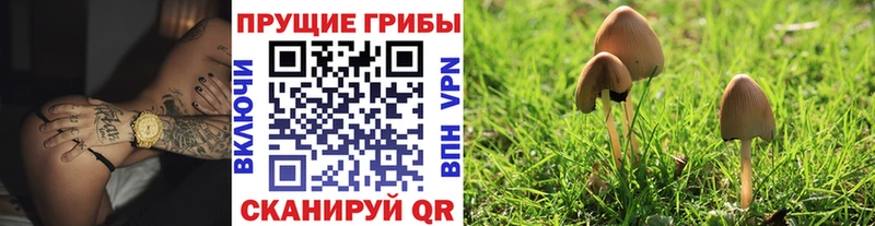 Галлюциногенные грибы ЛСД  где купить   Спасск-Дальний 