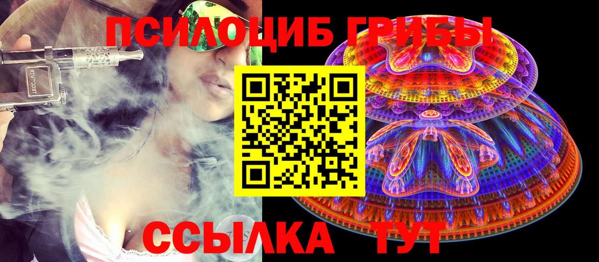 Спасск-Дальний  Псилоцибиновые грибы GOLDEN TEACHER  где купить   Вход с VPN 